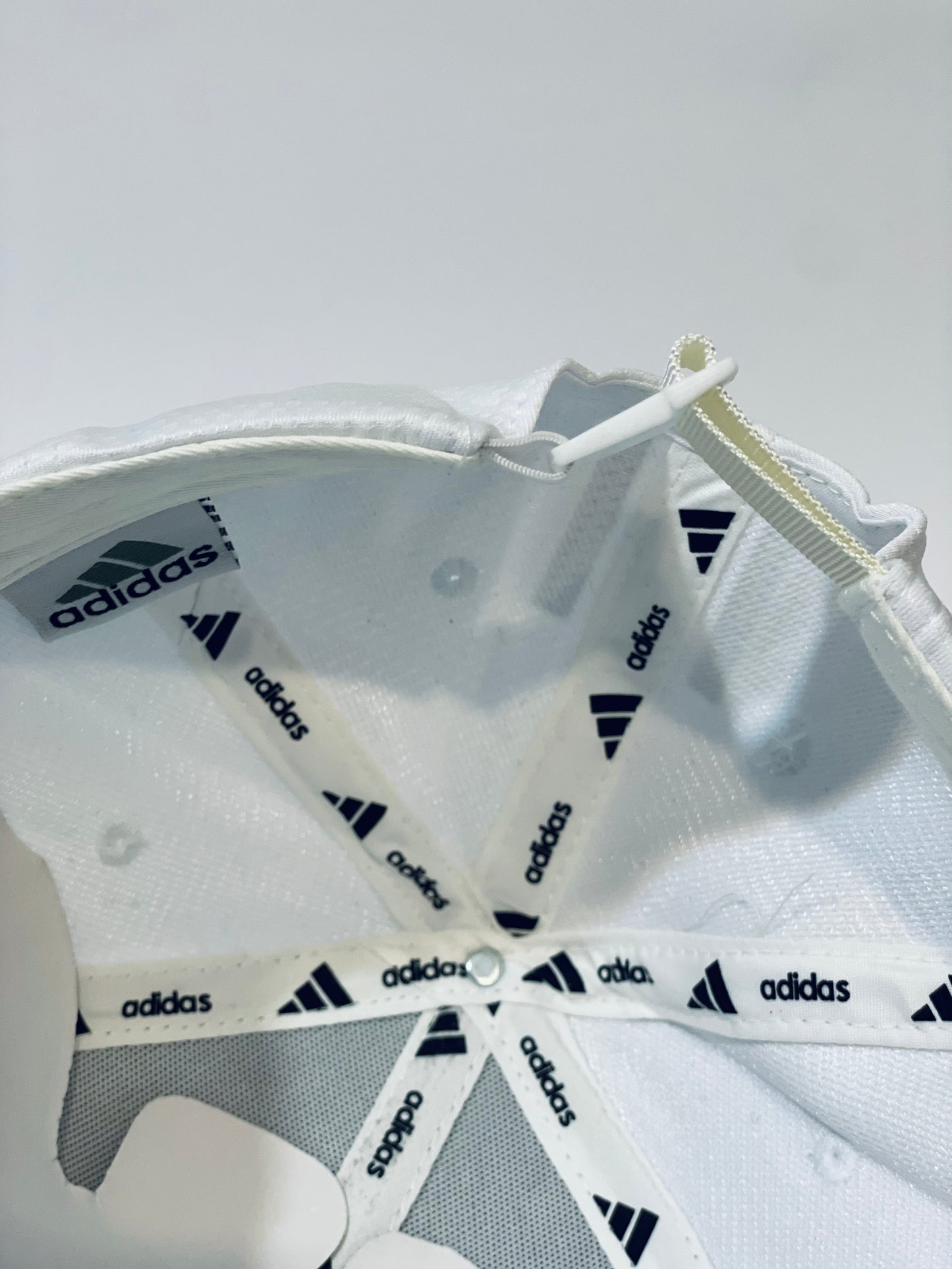 A. Frost Edge 🧢