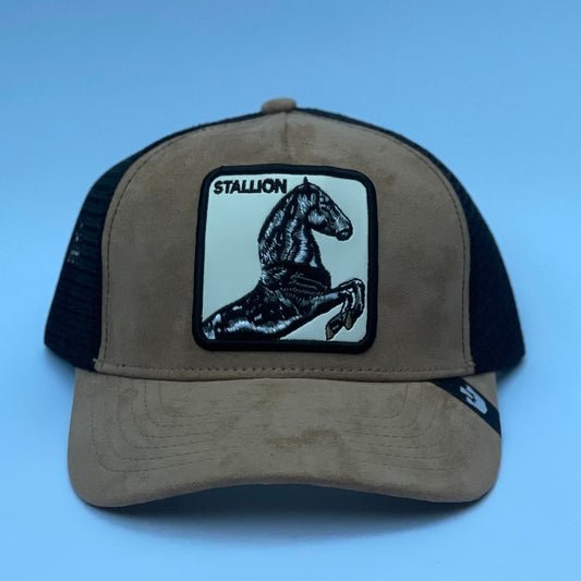 Desert Stallion 🧢