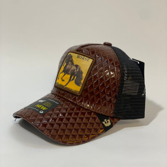 Desert Mustang 🐎🧢