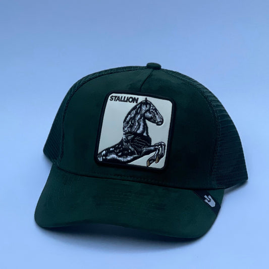 Emerald Stallion 🧢