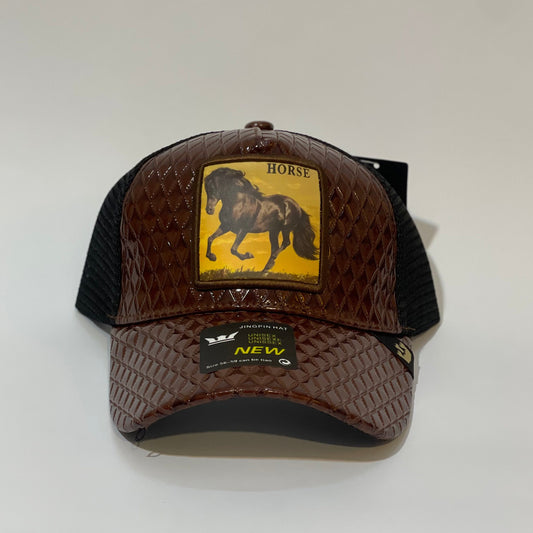 Desert Mustang 🐎🧢